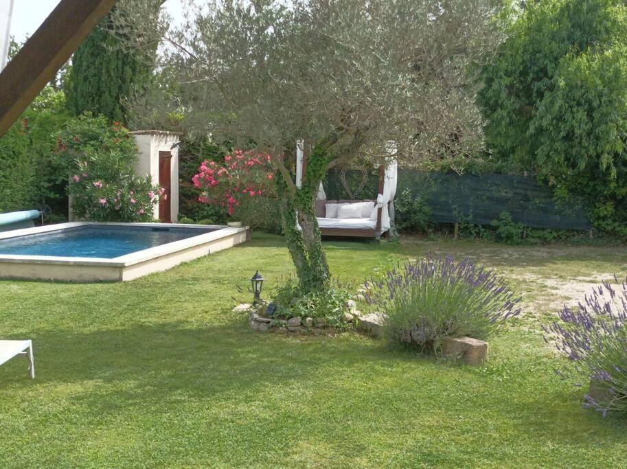 Le Cabanon Tendance Du Luberon Mérindol Eksteriør billede