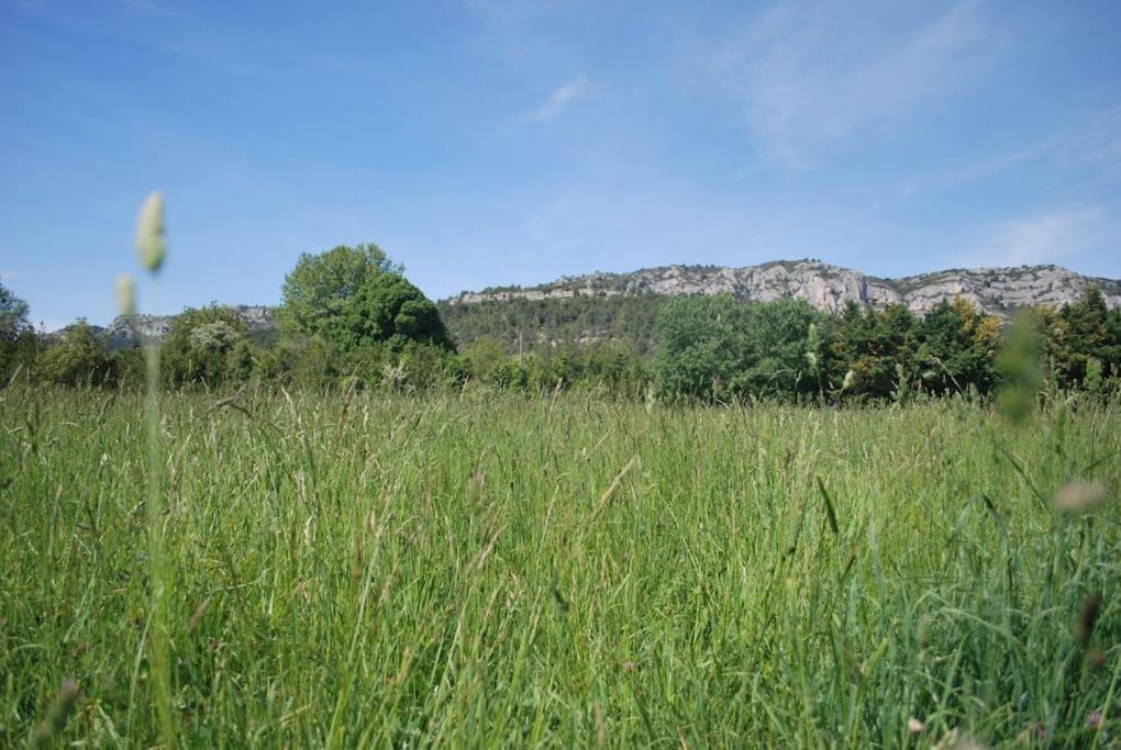 Le Cabanon Tendance Du Luberon Mérindol Eksteriør billede